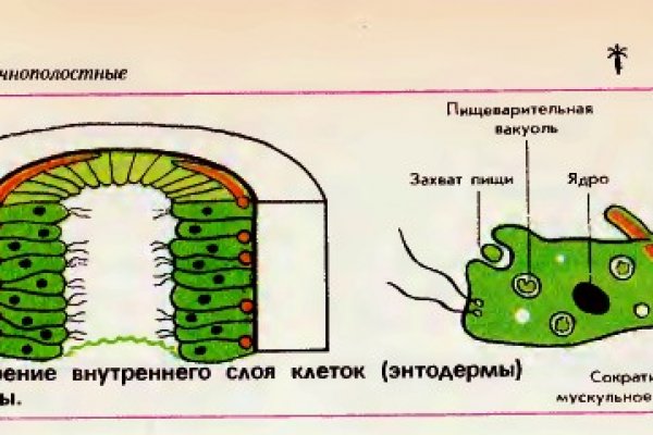 Кракен даркнет купить