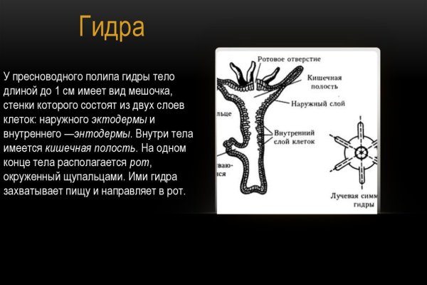 Кракен не работает тор